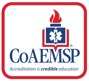 CoAEMSP